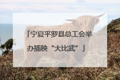 宁夏平罗县总工会举办插秧“大比武”