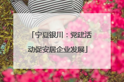 宁夏银川：党建活动促安居企业发展