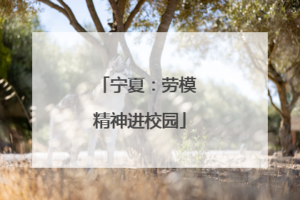 宁夏：劳模精神进校园