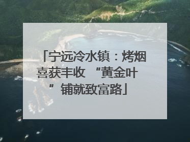 宁远冷水镇：烤烟喜获丰收 “黄金叶”铺就致富路