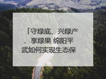 守绿底、兴绿产、享绿果 绵阳平武如何实现生态保护与经济发展双赢？｜新闻发布最前线·深一度