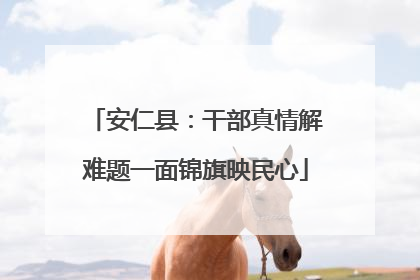 安仁县：干部真情解难题一面锦旗映民心