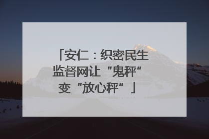 安仁:织密民生监督网让“鬼秤”变“放心秤”
