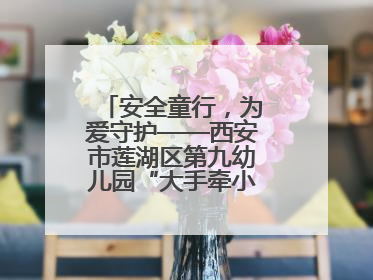 安全童行，为爱守护——西安市莲湖区第九幼儿园“大手牵小手”沉浸式亲子安全体验活动