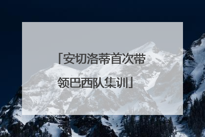 安切洛蒂首次带领巴西队集训