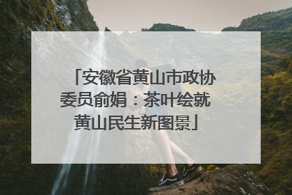 安徽省黄山市政协委员俞娟：茶叶绘就黄山民生新图景