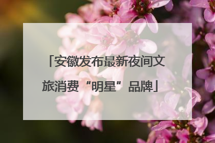 安徽发布最新夜间文旅消费“明星”品牌