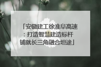 安徽建工徐淮阜高速：打造智慧建造标杆 铺就长三角融合坦途
