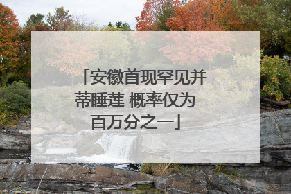 安徽首现罕见并蒂睡莲 概率仅为百万分之一