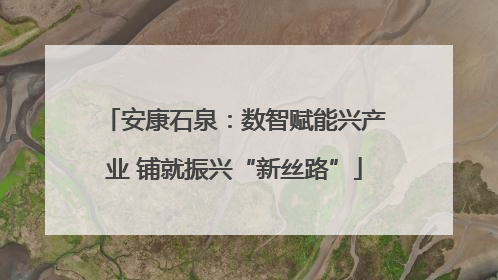 安康石泉：数智赋能兴产业 铺就振兴“新丝路”