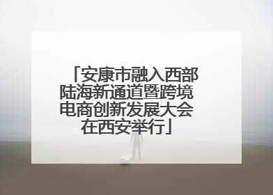 安康市融入西部陆海新通道暨跨境电商创新发展大会在西安举行