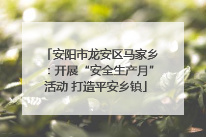 安阳市龙安区马家乡：开展“安全生产月”活动 打造平安乡镇