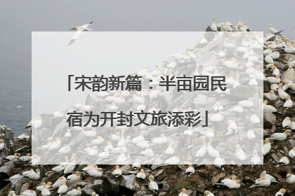 宋韵新篇：半亩园民宿为开封文旅添彩