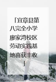 宜章县第八完全小学廖家湾校区劳动实践基地喜获丰收
