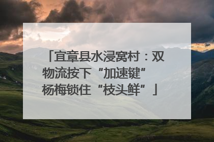 宜章县水浸窝村：双物流按下“加速键” 杨梅锁住“枝头鲜”