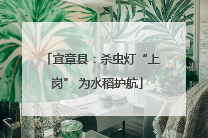 宜章县：杀虫灯“上岗” 为水稻护航