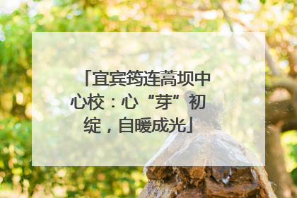 宜宾筠连蒿坝中心校：心“芽”初绽，自暖成光