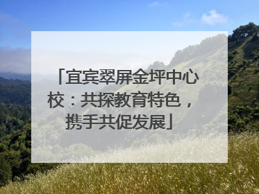 宜宾翠屏金坪中心校：共探教育特色，携手共促发展