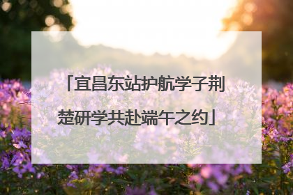宜昌东站护航学子荆楚研学共赴端午之约