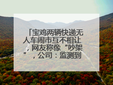 宝鸡两辆快递无人车闹市互不相让，网友称像“吵架”，公司：监测到异常会有技术或人为干预处置