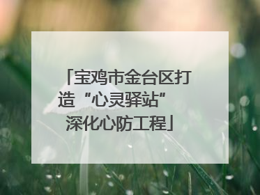 宝鸡市金台区打造“心灵驿站” 深化心防工程