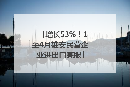 增长53%！1至4月雄安民营企业进出口亮眼