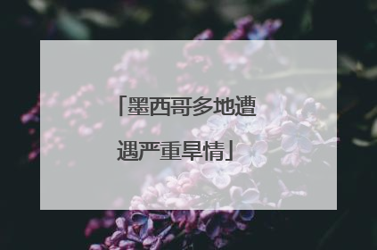 墨西哥多地遭遇严重旱情