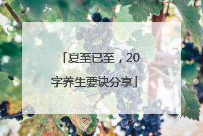 夏至已至，20字养生要诀分享