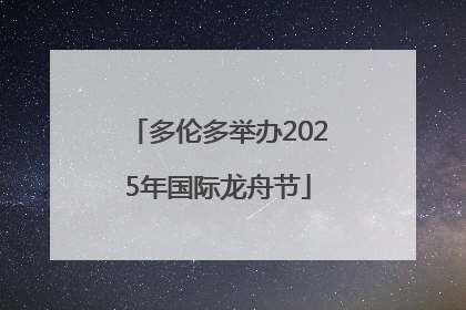 多伦多举办2025年国际龙舟节