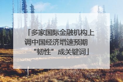 多家国际金融机构上调中国经济增速预期 “韧性”成关键词