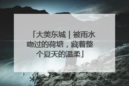大美东城｜被雨水吻过的荷塘，藏着整个夏天的温柔