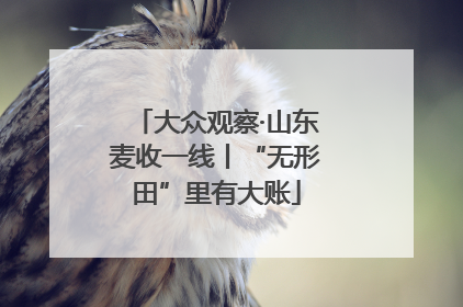 大众观察·山东麦收一线丨“无形田”里有大账