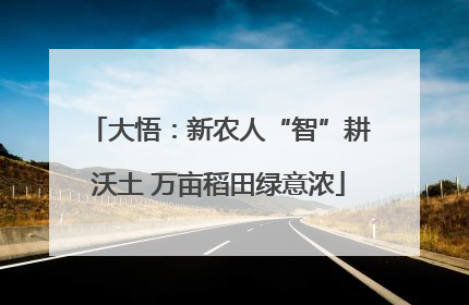 大悟：新农人“智”耕沃土 万亩稻田绿意浓