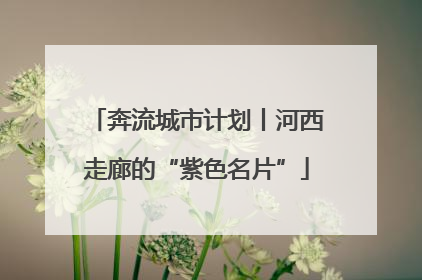 奔流城市计划丨河西走廊的“紫色名片”