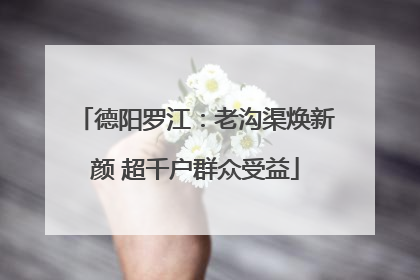 德阳罗江：老沟渠焕新颜 超千户群众受益