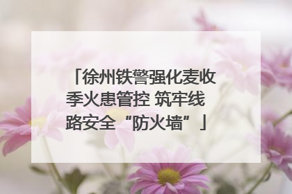 徐州铁警强化麦收季火患管控 筑牢线路安全“防火墙”