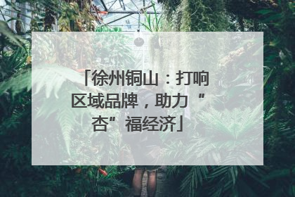 徐州铜山：打响区域品牌，助力“杏”福经济