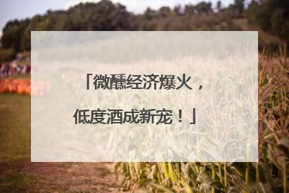微醺经济爆火，低度酒成新宠！