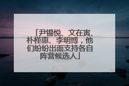 尹锡悦、文在寅、朴槿惠、李明博，他们纷纷出面支持各自阵营候选人