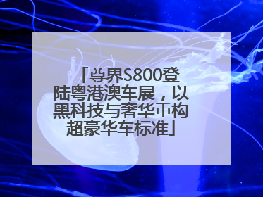 尊界S800登陆粤港澳车展，以黑科技与奢华重构超豪华车标准