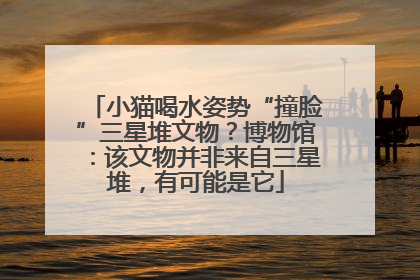 小猫喝水姿势“撞脸”三星堆文物？博物馆：该文物并非来自三星堆，有可能是它