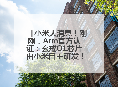 小米大消息！刚刚，Arm官方认证：玄戒O1芯片由小米自主研发！雷军此前称已开始大规模量产