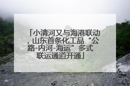 小清河又与海港联动，山东首条化工品“公路-内河-海运”多式联运通道开通