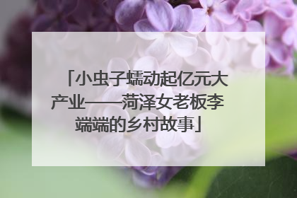 小虫子蠕动起亿元大产业——菏泽女老板李端端的乡村故事