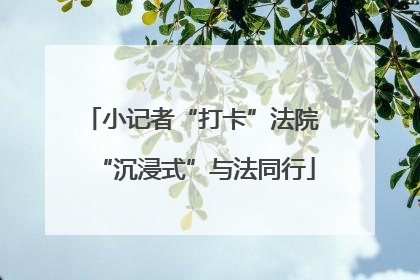 小记者“打卡”法院 “沉浸式”与法同行