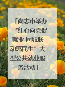 尚志市举办“红心向党促就业 同城联动惠民生”大型公共就业服务活动