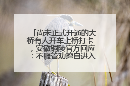 尚未正式开通的大桥有人开车上桥打卡，安徽铜陵官方回应：不服管劝擅自进入，已采取措施