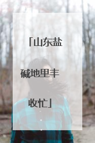 山东盐碱地里丰收忙