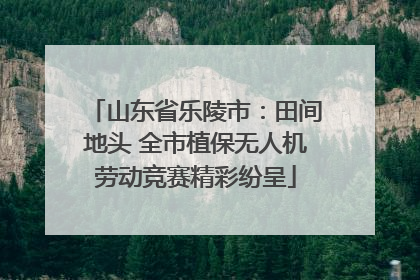 山东省乐陵市：田间地头 全市植保无人机劳动竞赛精彩纷呈