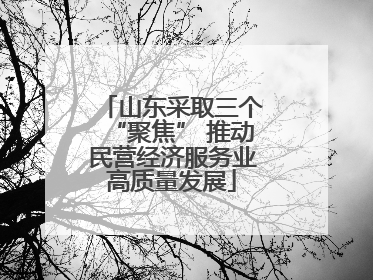 山东采取三个“聚焦” 推动民营经济服务业高质量发展
